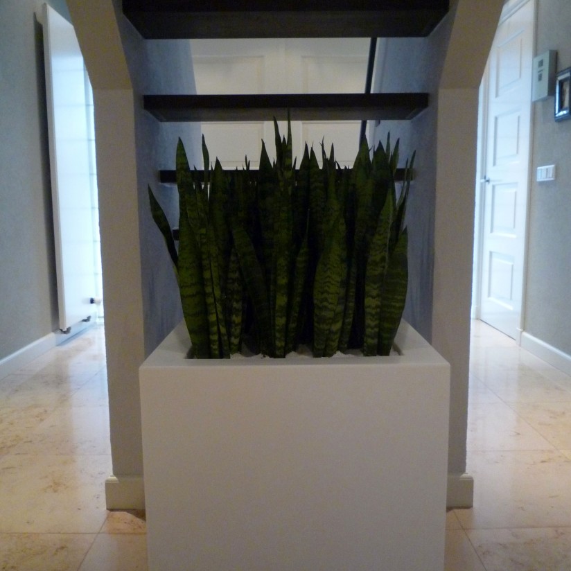 P1010671